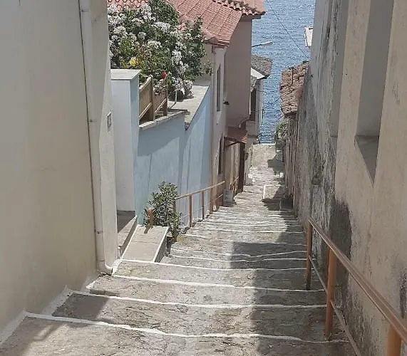 Aurora * Kavala